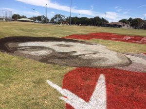 Daniel Morcombe grass sign