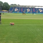 Cricket GrassAds UK